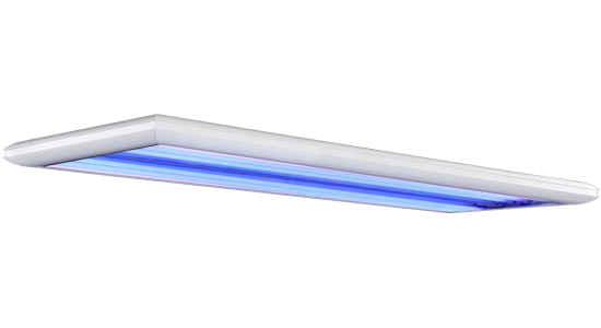 Rampe T5 GIESEMANN