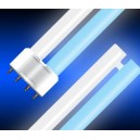 Fluo Compact 24W White/Blue