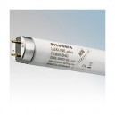 Sylvania Daylight 15 Watts