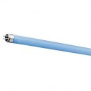 Osram FQ67 Bleu 80 Watts