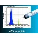 ATI Actinic 24 Watts