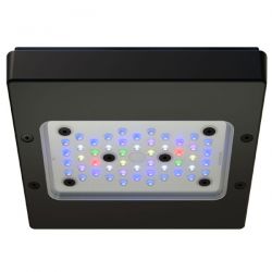 ECOTECH MARINE Radion XR15 G6 Pro - Rampe LED pour aquarium d'eau de mer