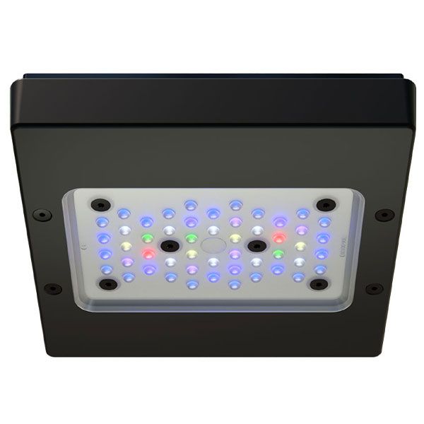 ECOTECH MARINE Radion XR15 G6 Pro - Rampe LED pour aquarium d'eau de mer