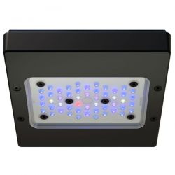 ECOTECH MARINE Radion XR15 G6 Blue - Rampe LED pour aquarium d'eau de mer