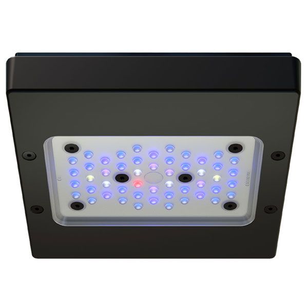 ECOTECH MARINE Radion XR15 G6 Blue - Rampe LED pour aquarium d'eau de mer