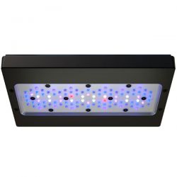 ECOTECH MARINE Radion XR30 G6 Blue - Rampe LED pour aquarium d'eau de mer