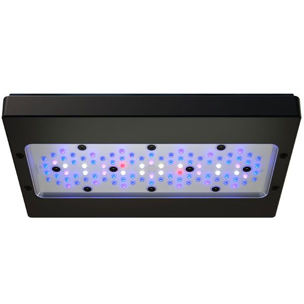 ECOTECH MARINE Radion XR30 G6 Blue - Rampe LED pour aquarium d'eau de mer