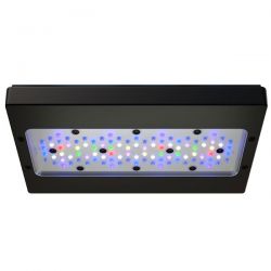 ECOTECH MARINE Radion XR30 G6 Pro - Rampe LED pour aquarium d'eau de mer