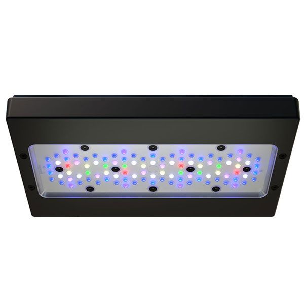 ECOTECH MARINE Radion XR30 G6 Pro - Rampe LED pour aquarium d'eau de mer