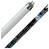ATI Tube T5 Coral+ 24 Watts 17500K° - 550mm