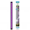 CIANO CLE100 Plants Noir Universelle - Rampe LED COMPLÉMENTAIRE pour aquarium d'eau douce
