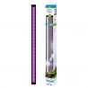 CIANO CLE120 Plants Noir Universelle - Rampe LED COMPLÉMENTAIRE pour aquarium d'eau douce