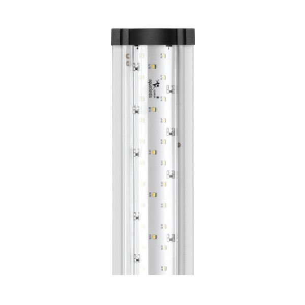 AQUATLANTIS Safe Lighting 100 LED Rampe LED pour aquarium d'eau douce - 22 Watts