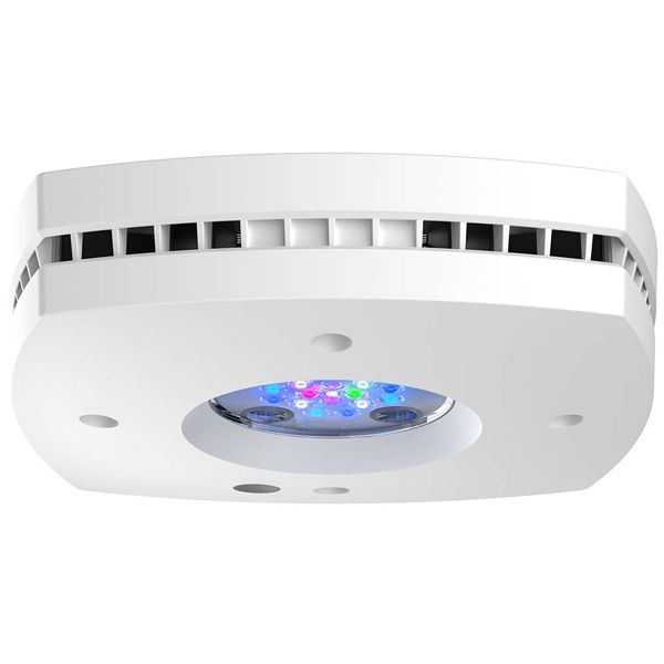 AQUA ILLUMINATION Prime 16 HD 59W - Rampe LED pour aquarium d'eau de mer - Blanc
