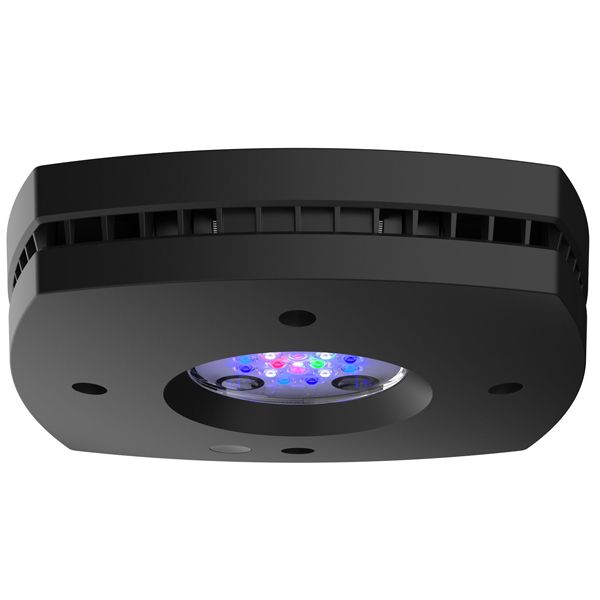 AQUA ILLUMINATION Prime 16 HD 59W - Rampe LED pour aquarium d'eau de mer - Noir