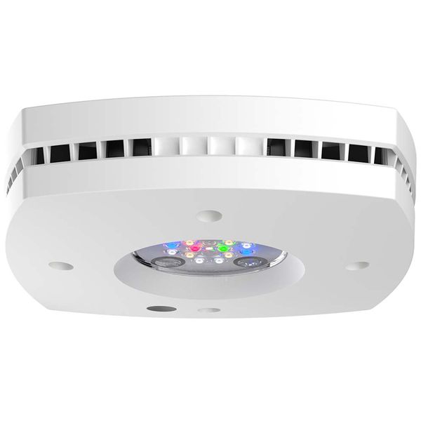 AQUA ILLUMINATION Prime Freshwater 55W - Rampe LED pour aquarium d'eau douce - Blanc