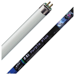 ATI Tube T5 Purple+ 24 Watts - 550mm
