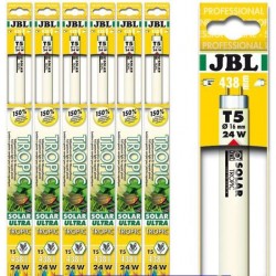 JBL Ultra Tropic 24 Watts