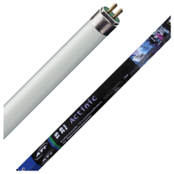 ATI Tube T5 Actinic 39 Watts 25000K° - 850mm