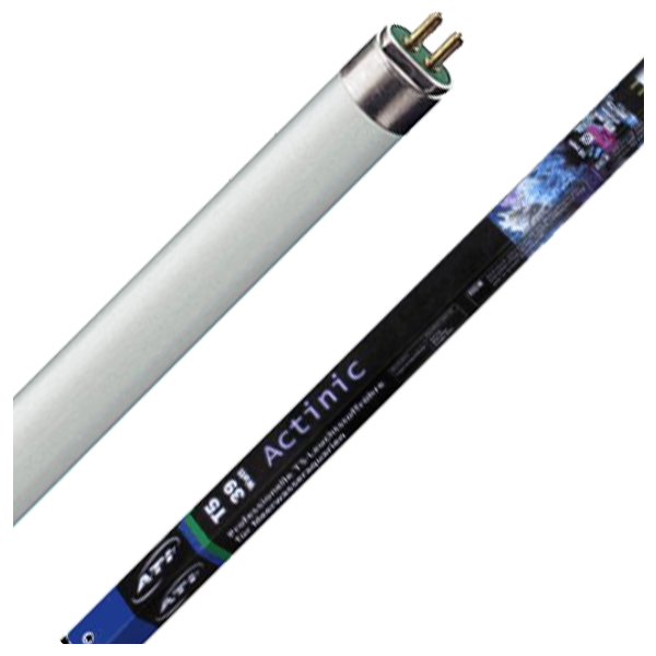 ATI Tube T5 Actinic 80 Watts 25000K° - 1450mm