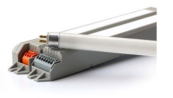 Éclairage Tube Néon Aquarium