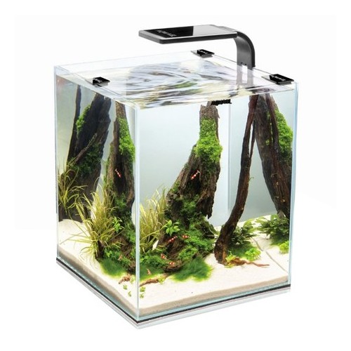Lampes LED pour petits aquariums