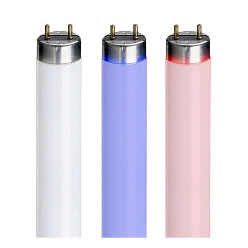 Néons T5 et T8 pour aquarium