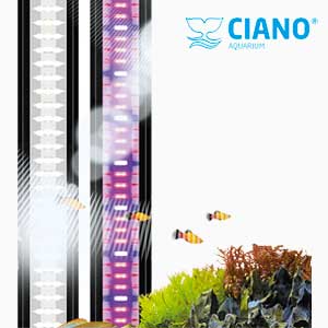 ÉCLAIRAGE LED CIANO