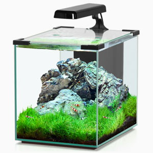 ÉCLAIRAGE NANO AQUARIUM
